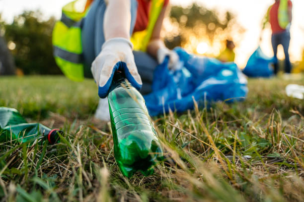 Yard Cleanup Services in Independence, OH